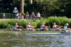 ARB_20190601_570