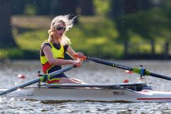 Hollandia_20250419_01717