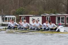 Head_20230312_07704