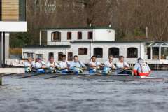 Head_20230312_12314 Head_20230312_12314
