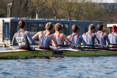 Head_20250309_03625 Head_20250309_03625