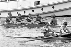 Hollandia_198370_03A