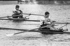 Hollandia_198370_12A