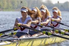 Hollandia_20180421_015