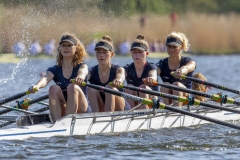 Hollandia_20180421_017