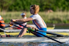 Hollandia_20190420_010