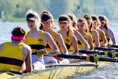Hollandia_20190420_020