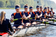 Hollandia_20190420_021