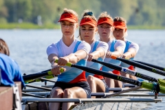 Hollandia_20190420_043