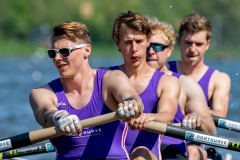 Hollandia_20190420_298