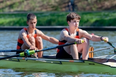 Hollandia_20190420_306