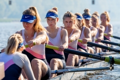 Hollandia_20190421_140