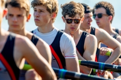 Hollandia_20190421_165