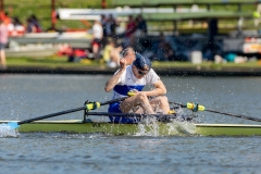 Hollandia_20190421_428