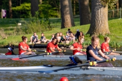 Hollandia_20190421_478