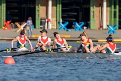 Hollandia_20190421_480