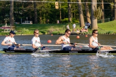 Hollandia_20190421_495