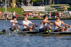 Hollandia_20190421_496