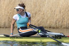 Hollandia_20210417_426 Hollandia_20210417_426