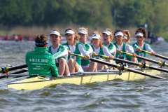 Hollandia_20220423_1688