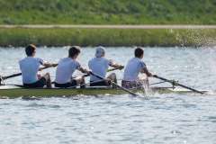 Hollandia_20220423_7784 Hollandia_20220423_7784