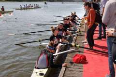 Hollandia_20220424_2208