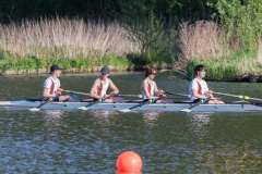 Hollandia_20220424_5093 Hollandia_20220424_5093