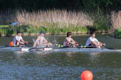 Hollandia_20220424_5097 Hollandia_20220424_5097