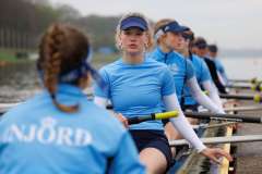 Hollandia_20230422_0203 Hollandia_20230422_0203