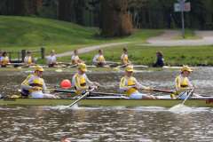 Hollandia_20230423_1484