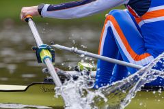 Hollandia_20240420_1228