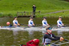 Hollandia_20240420_7379