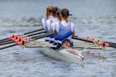 Hollandia_20240420_7486
