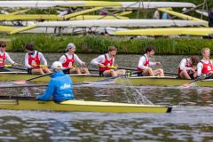 Hollandia_20240420_7518