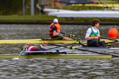 Hollandia_20240420_8664
