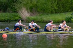 Hollandia_20240420_9859
