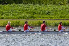 Hollandia_20240421_1197