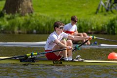 Hollandia_20240421_4308