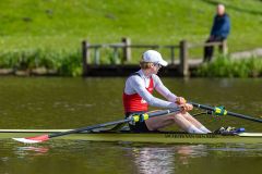 Hollandia_20240421_5914