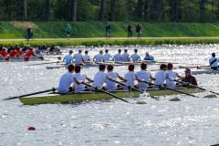 Hollandia_20250419_15191