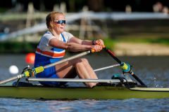 Hollandia_20250419_18466