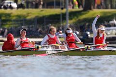 Hollandia_20250420_03914