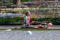 Hollandia_20250420_05425