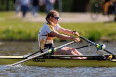 Hollandia_20250420_05532