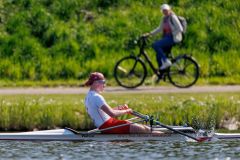 Hollandia_20250420_06686