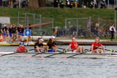 Hollandia_20250420_09616