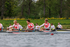 Hollandia_20260418_06684