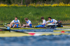 Hollandia_20260419_03034
