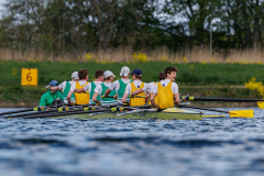 Hollandia_20260419_03803