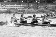 Koninklijke_1984_127_35